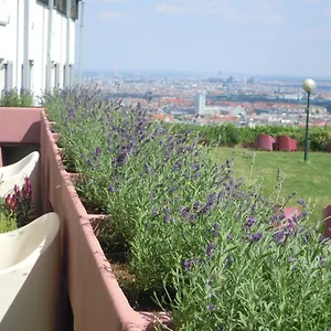 Palace , Vídeň Rakousko